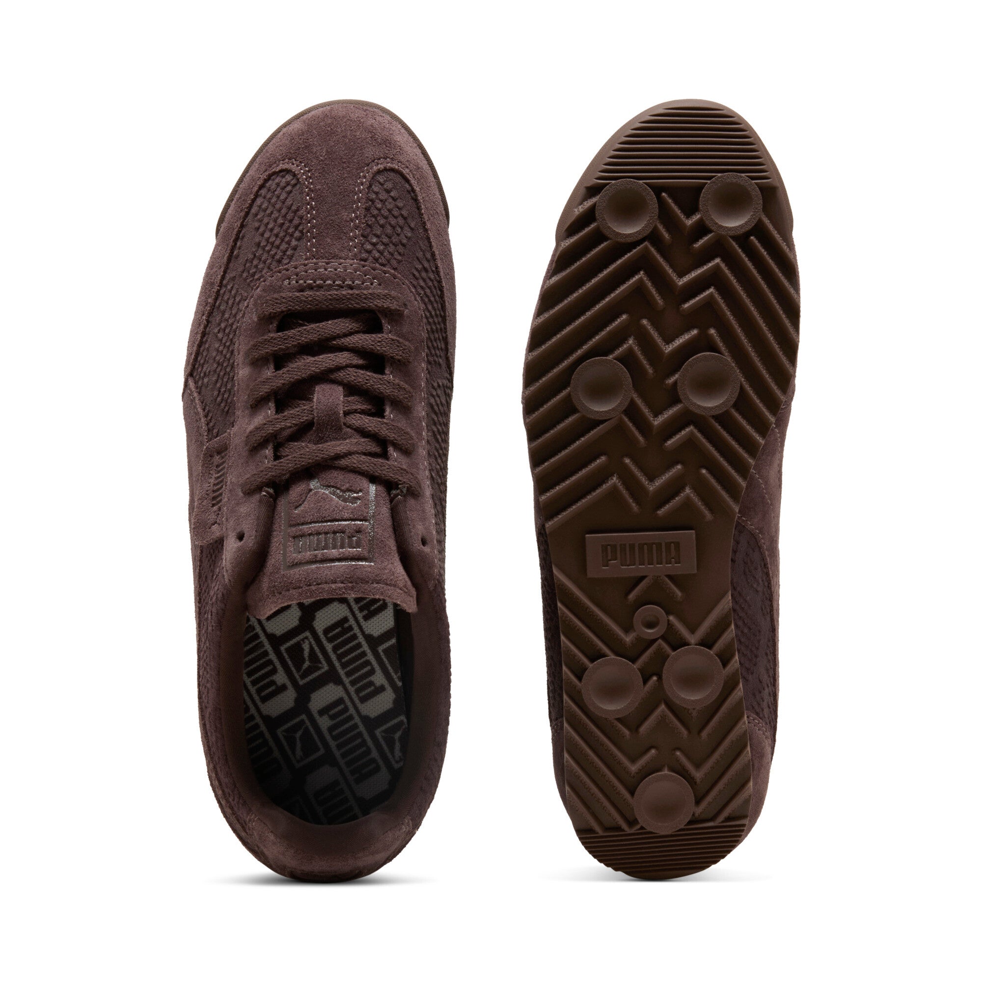 ARIZONA PYTHON סניקרס