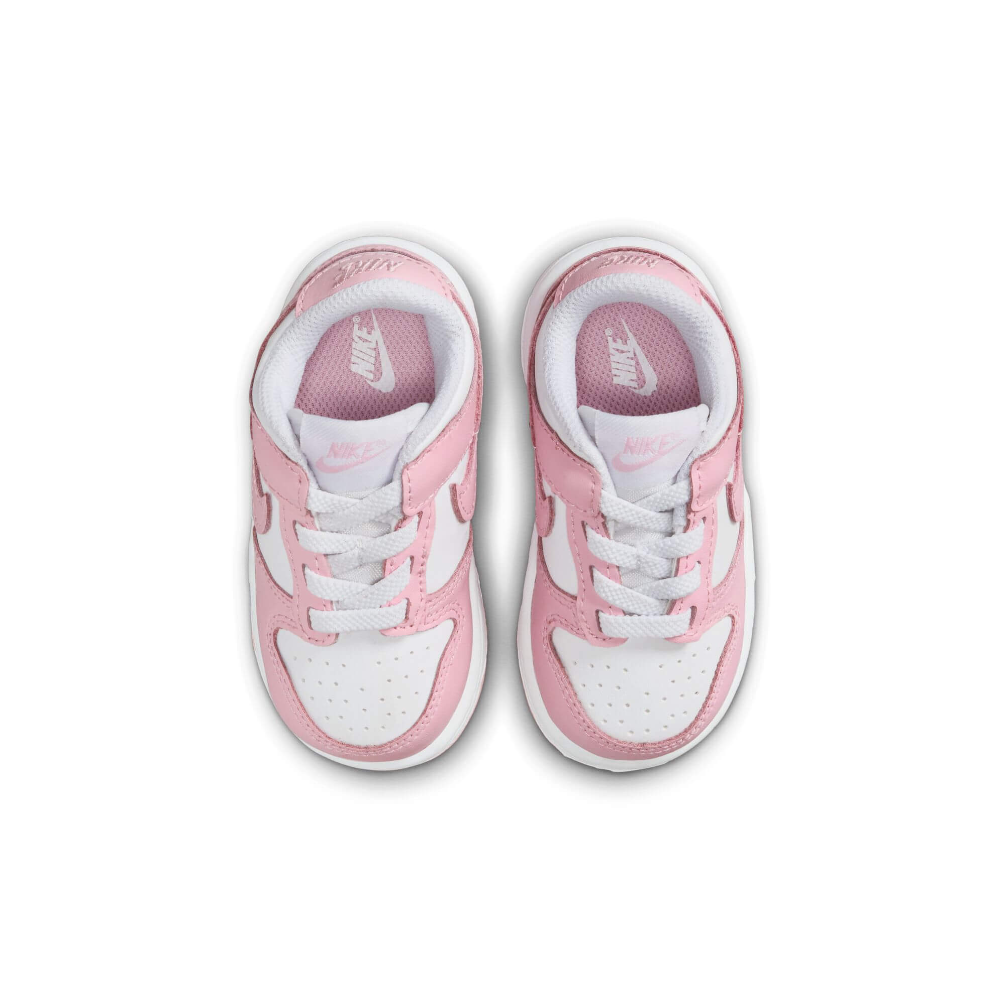 DUNK LOW סניקרס