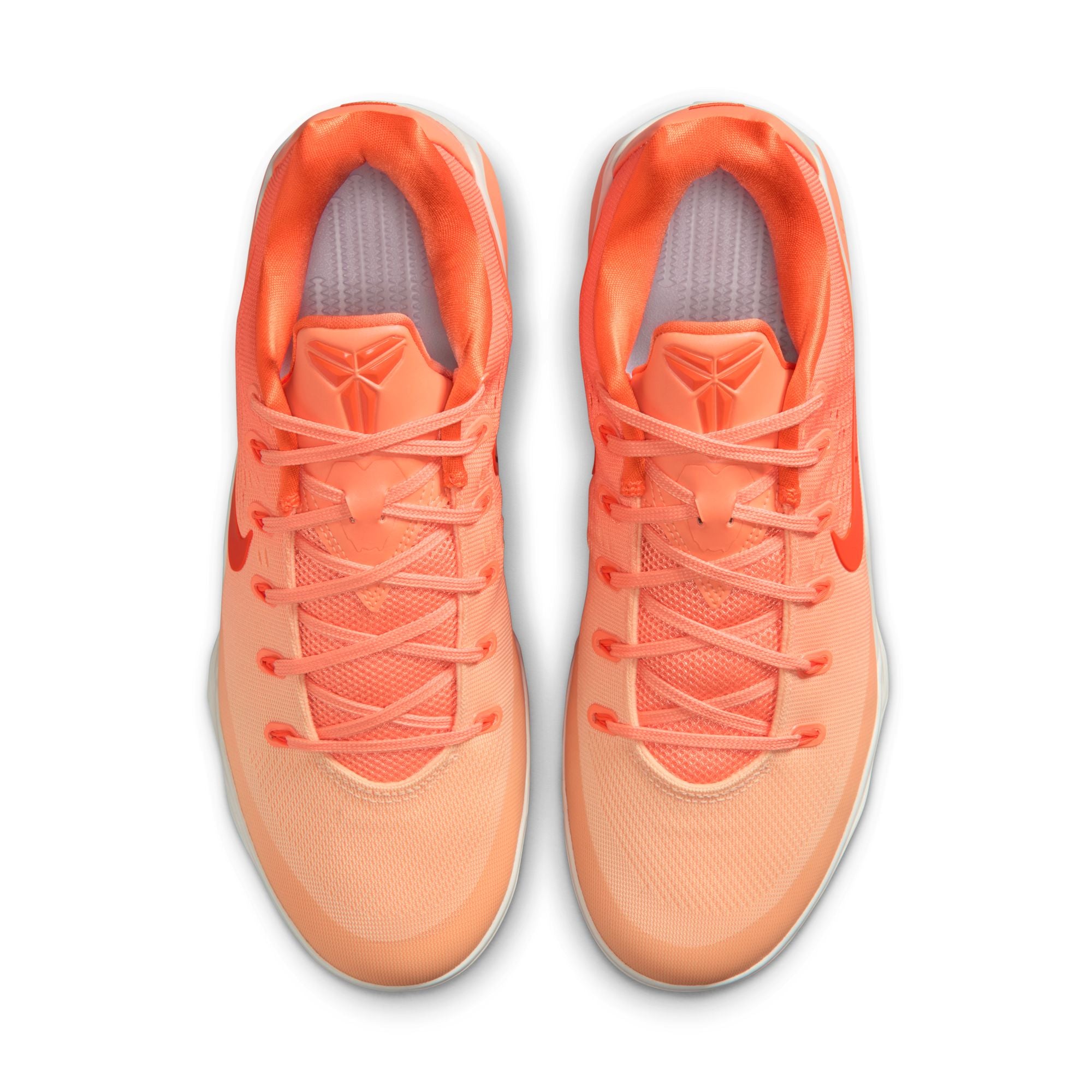 Kobe Bryant Kobe 9 Low Protroנעלי כדורסל