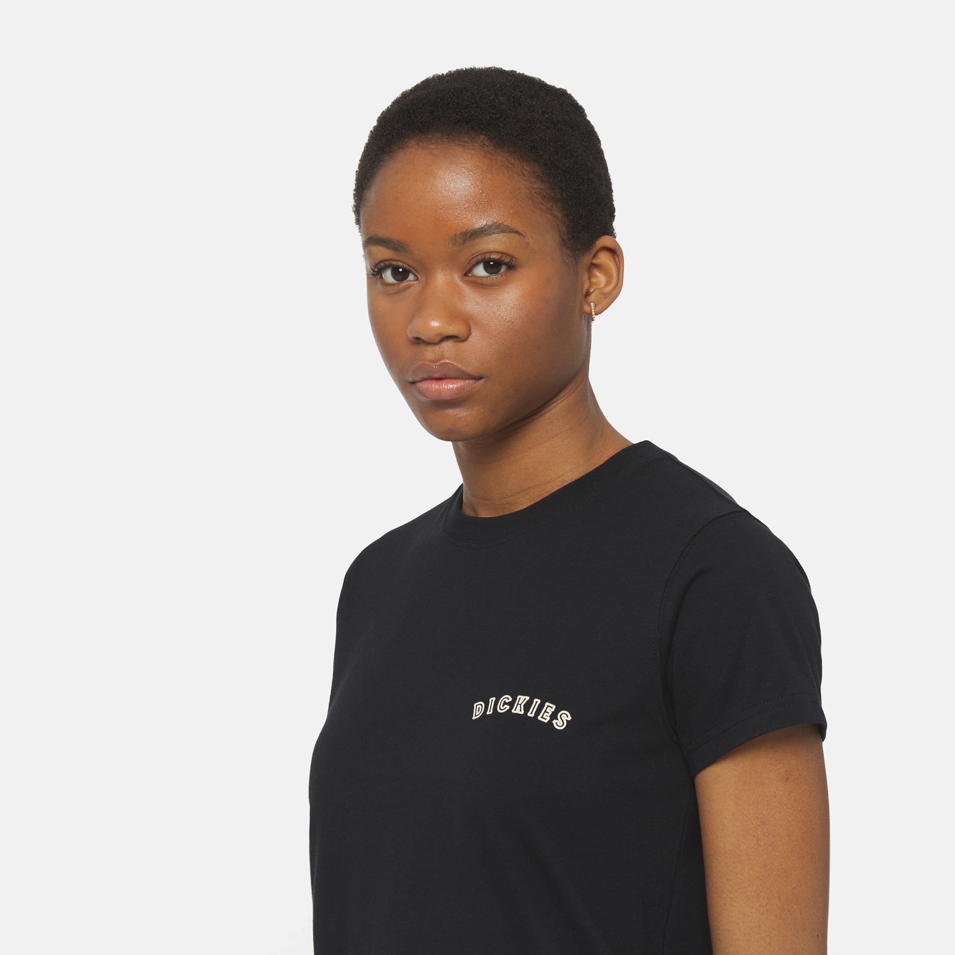 DICKIES | SALTVILLE טישרט | FOOT LOCKER