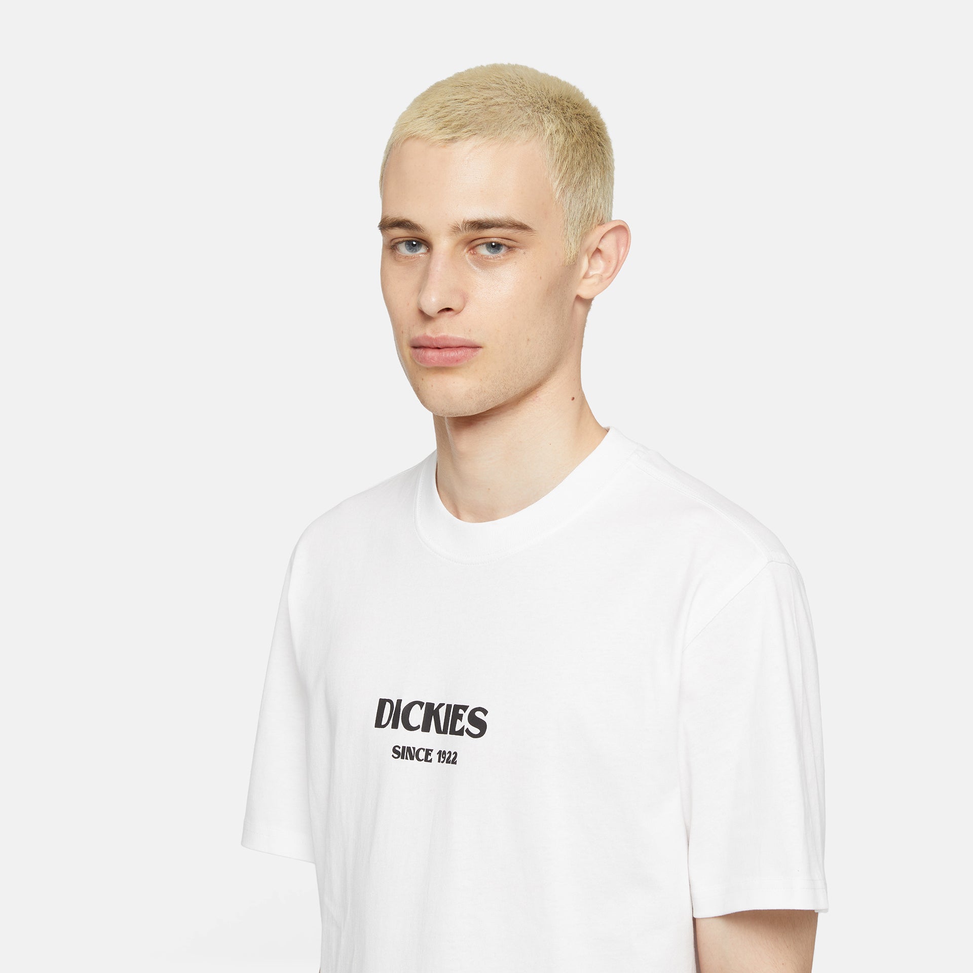 DICKIES | MAX MEADOWS טישרט | FOOT LOCKER