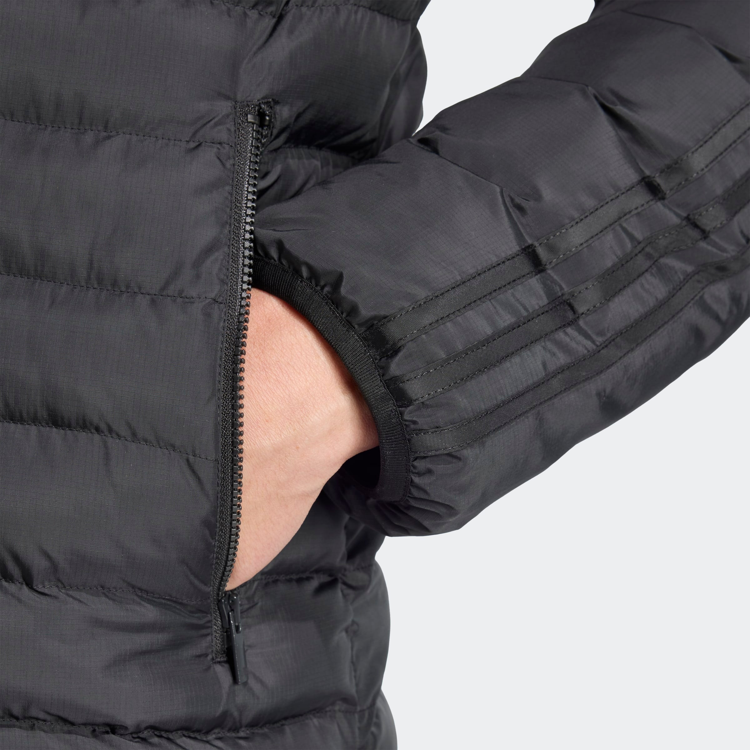 PADDED COLLAR ז'קט