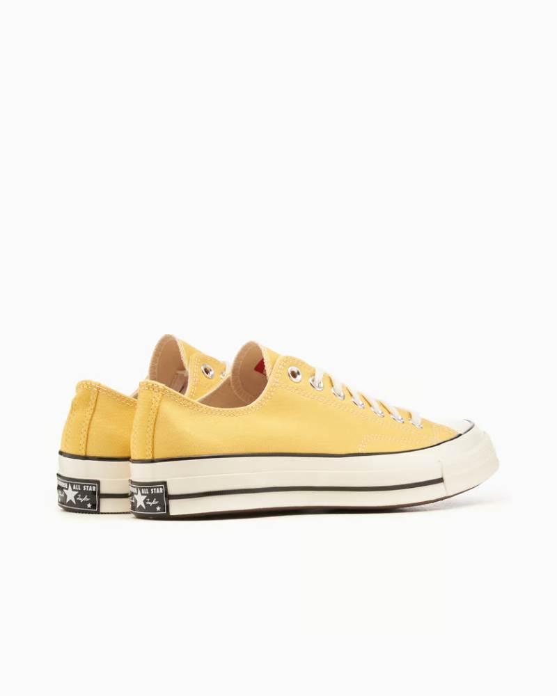 CHUCK 70 OX BANANAS סניקרס נמוכות