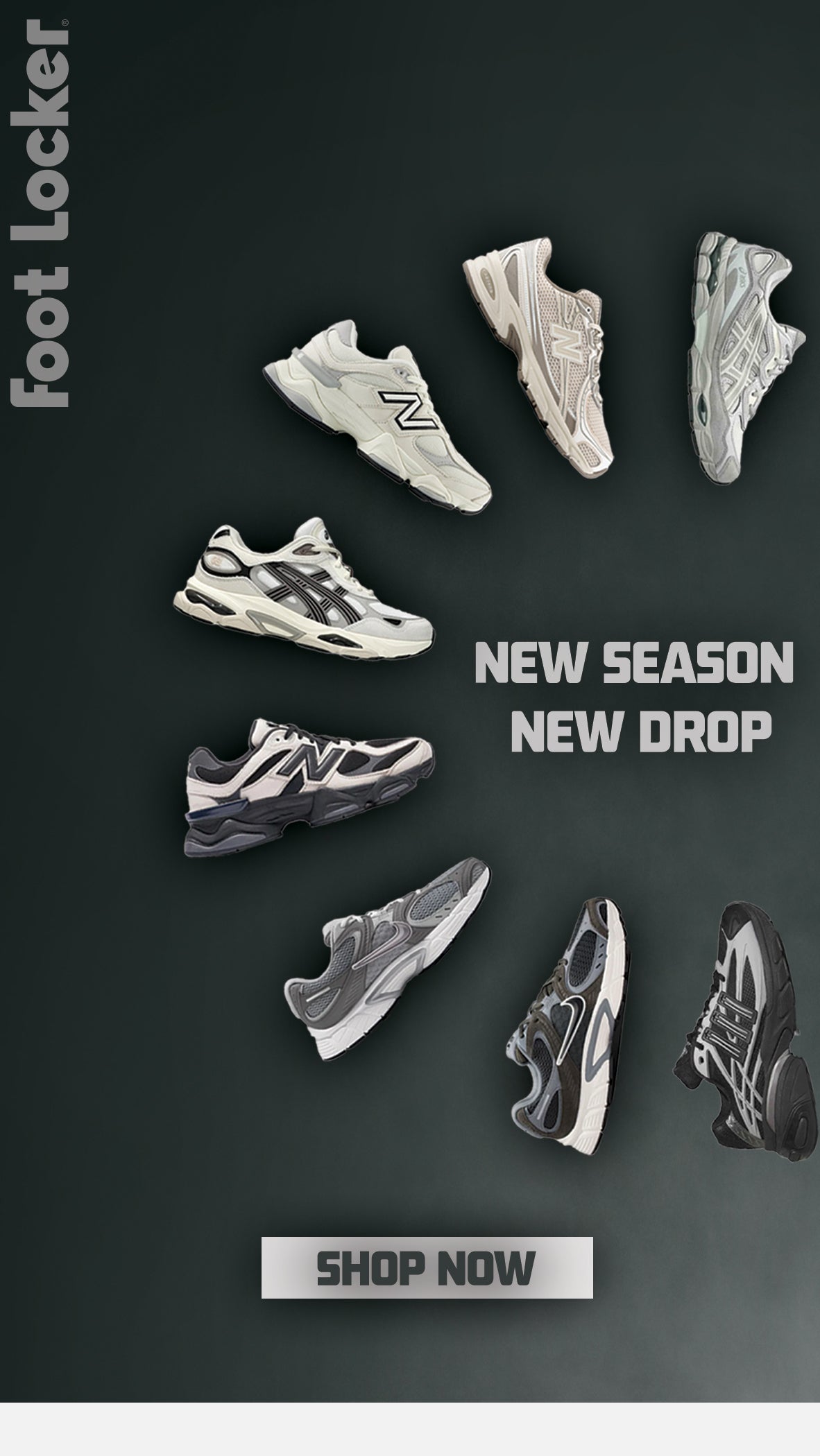 NEW COLLECTION