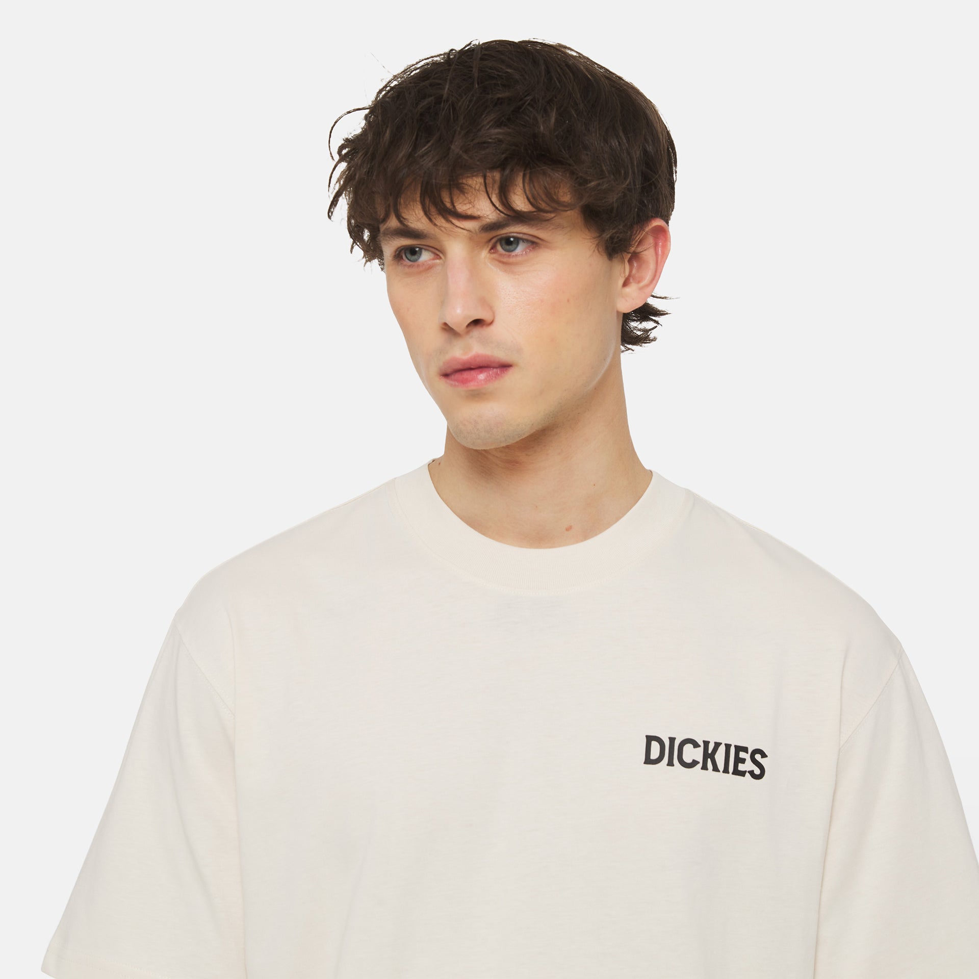 DICKIES | BEACH טישרט  | FOOT LOCKER