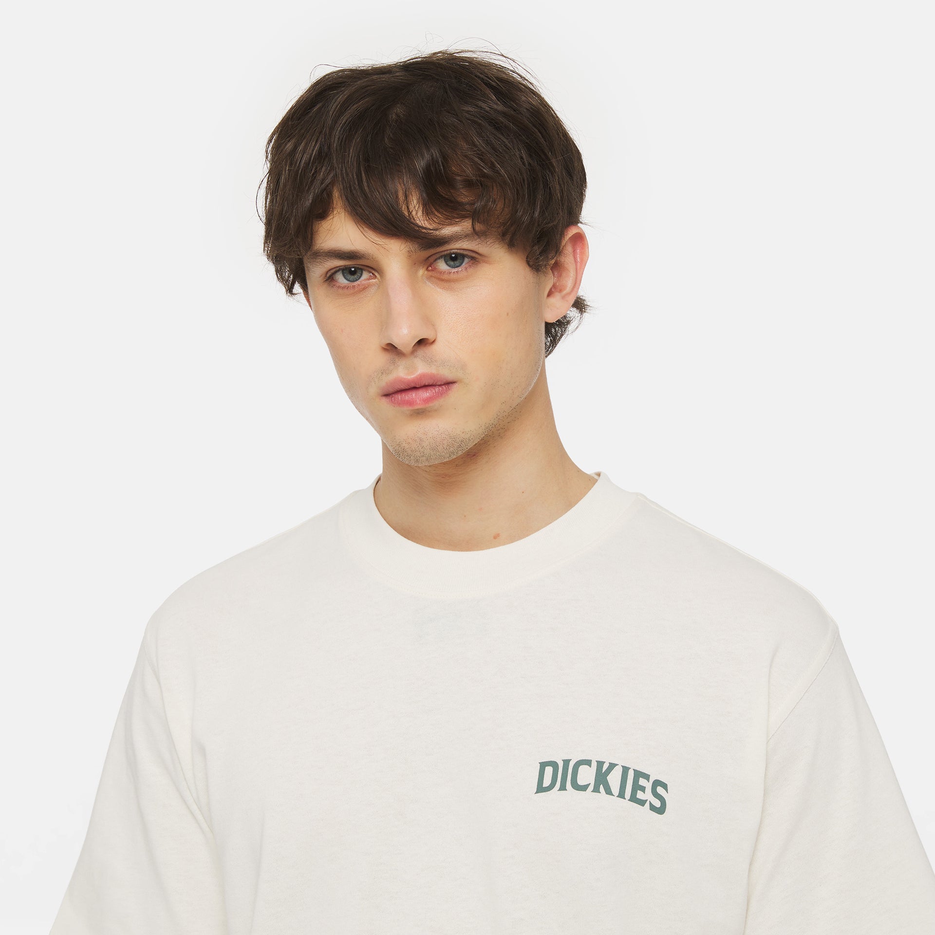 DICKIES | ELLISTON טישרט  | FOOT LOCKER