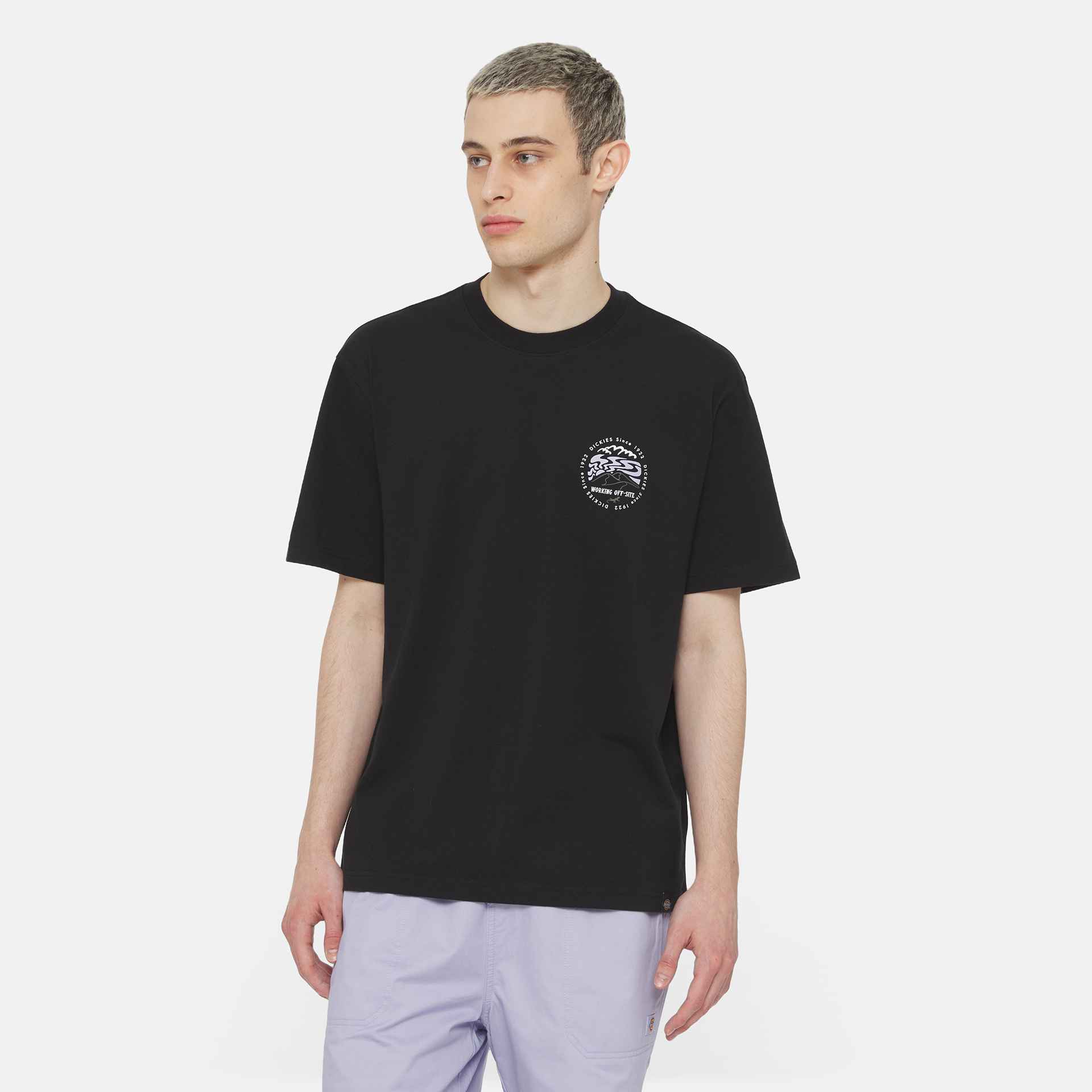 DICKIES | STANARDSVILLE טישרט  | FOOT LOCKER