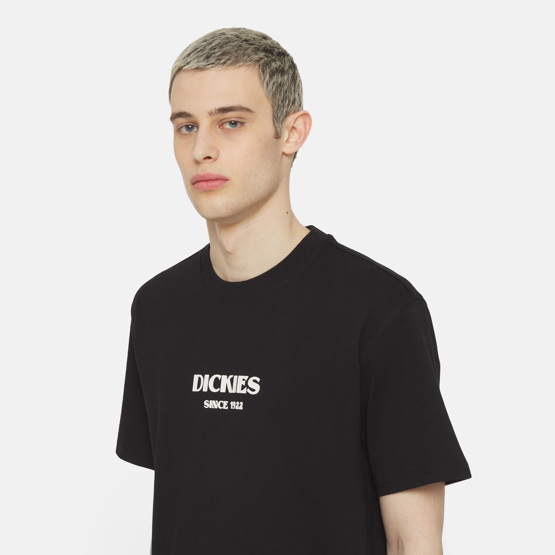 DICKIES | MAX MEADOWS טישרט  | FOOT LOCKER