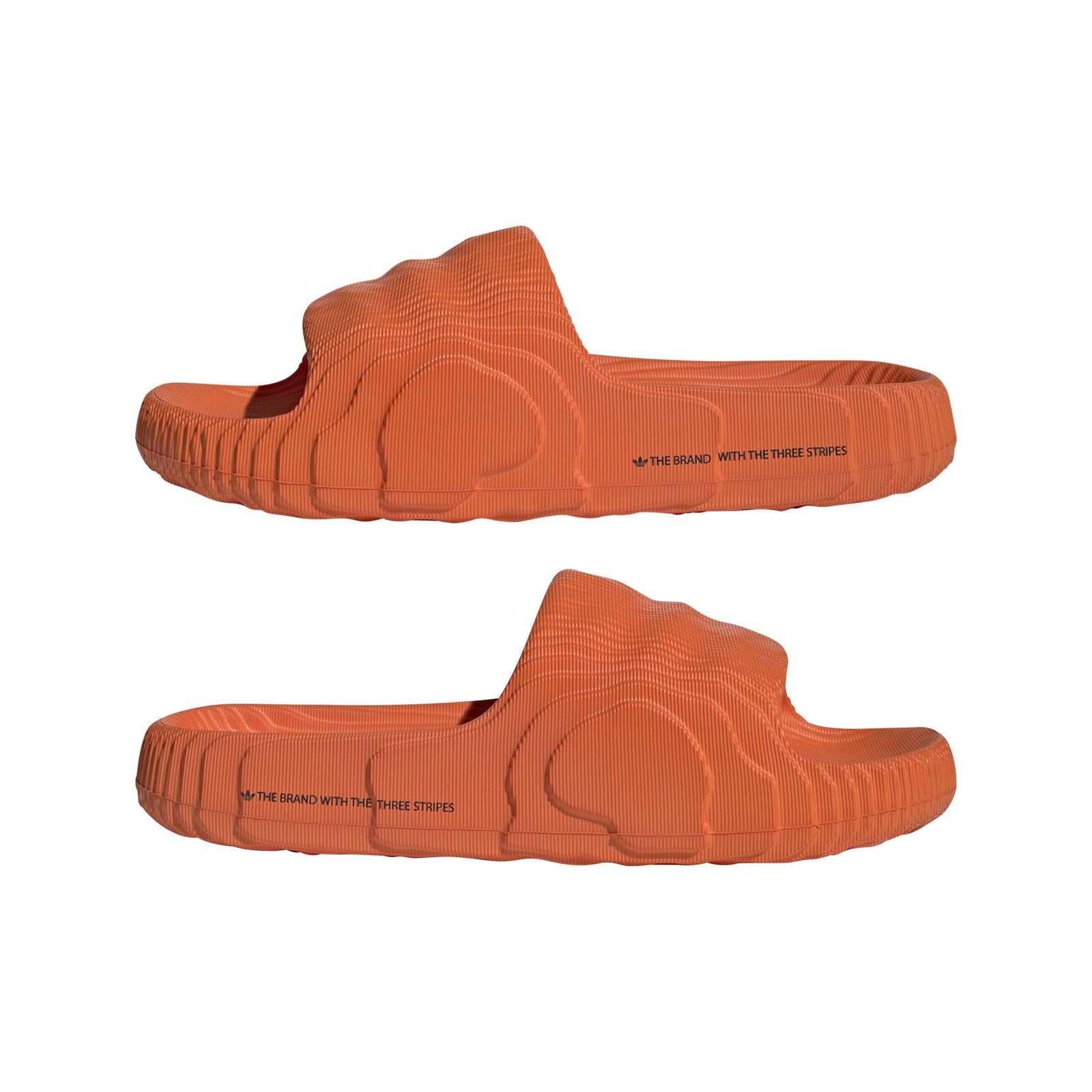 ADIDAS | ADILETTE 22 כפכפי סלייד  | FOOT LOCKER