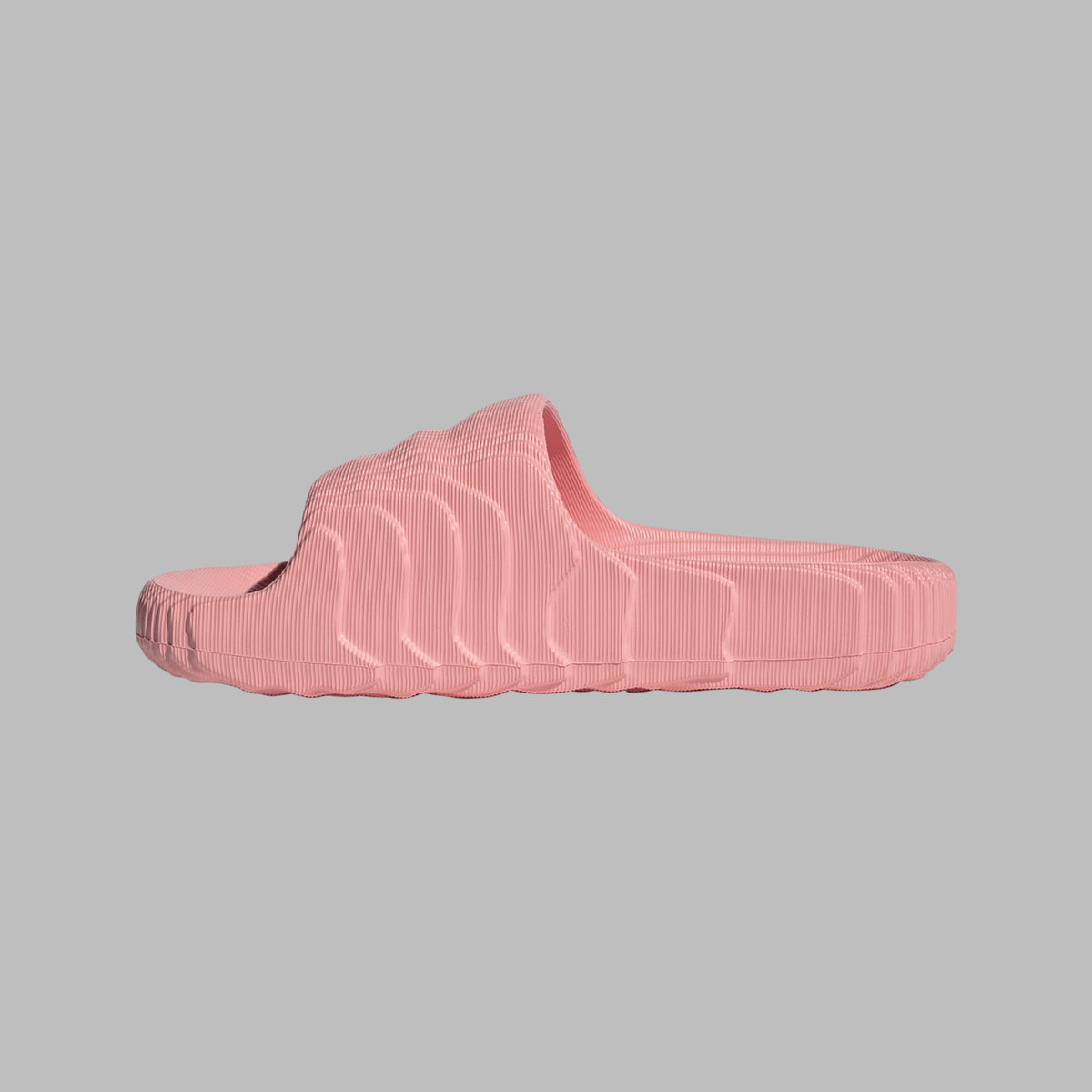 ADILETTE 22 כפכפים