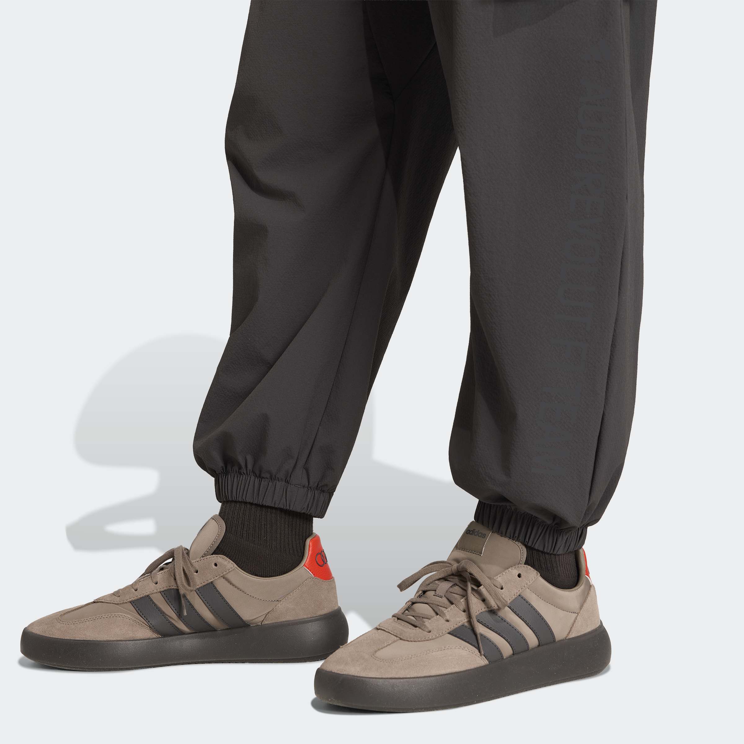 AUDI FORMULA 1 TEAM מכנסיים ארוכים קרגו